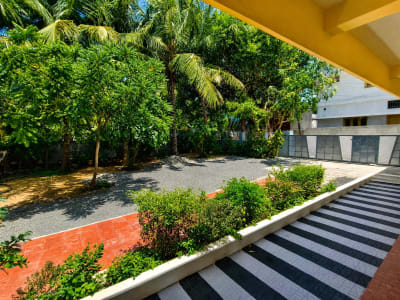 Lush tropical palms in Dils Break Garden
