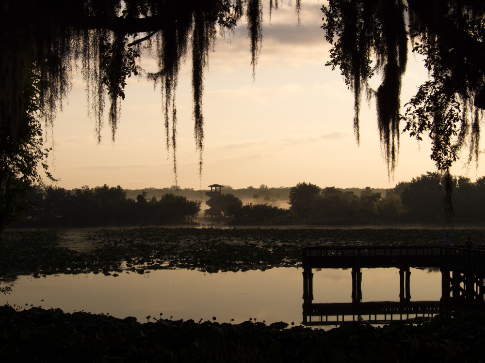 40 Acre Lake at Brazos Bend State Park