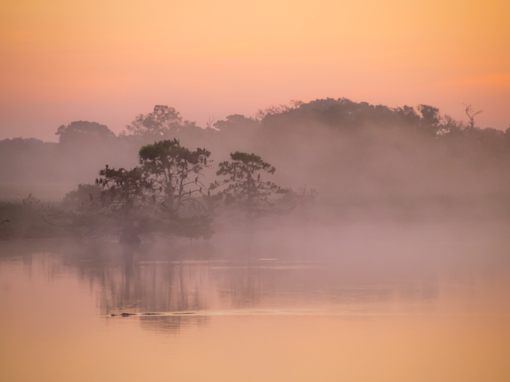 Smither's Lake