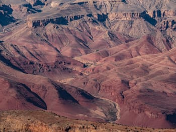 The sedimentary layers of the canyon are wildly different colors. Here, it was red, almost pink, but the water has begun to expose the pale brown layer beneath it. A close-up of red and pink rock, eroded into smooth but complex curves, cut through by a narrow water channel (currently dry)