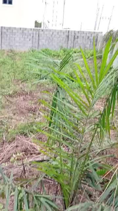 Land for sale