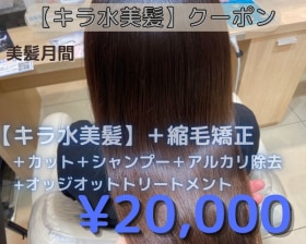 究極 キラ水美髪 縮毛矯正 スタイリストカット シャンプー アルカリ除去 オッジオットトリートメント クーポン メニュー Ash 中目黒店 ヘアサロン 美容院 Ash オフィシャルサイト 究極 キラ水美髪 縮毛矯正 スタイリストカット シャンプー アルカリ除去 オッジオットトリートメント クーポン メニュー Ash 中目黒店 ヘアサロン 美容院 Ash オフィシャルサイト