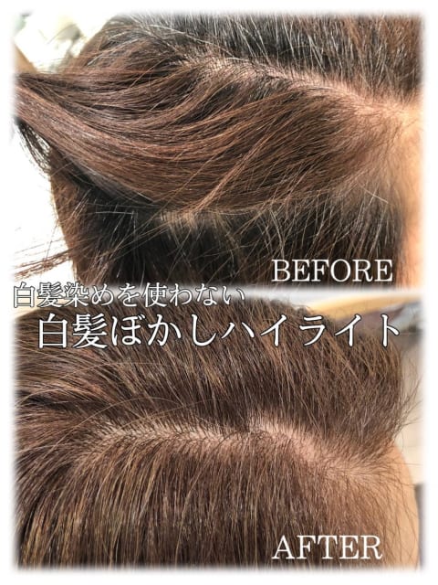 白髪ぼかしハイライトのヘアカタログ一覧 ヘアサロン 美容院 Ash オフィシャルサイト 白髪ぼかしハイライトのヘアカタログ一覧 ヘアサロン 美容院 Ash オフィシャルサイト