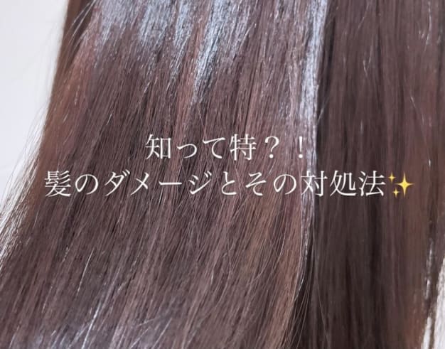 Ash 二俣川南口店 ヘアサロン 美容院 Ash オフィシャルサイト