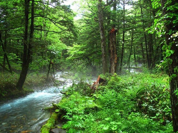 マイナスイオンは効果があるのか コラム Ash 戸田公園店 花木 洋斗 Ash オフィシャルサイト