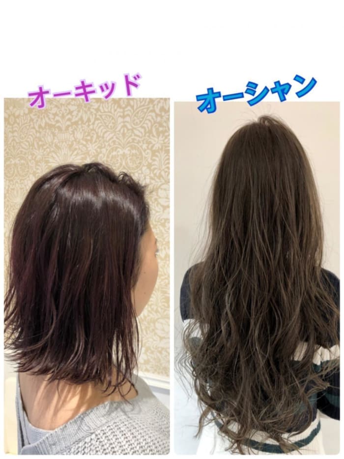 改めて紹介します イルミナカラーの良さとは コラム Ash たまプラーザ店 松田 龍之介 Ash オフィシャルサイト 改めて紹介します イルミナカラーの良さとは コラム Ash たまプラーザ店 松田 龍之介 Ash オフィシャルサイト