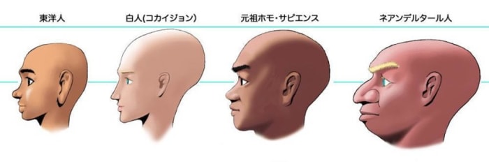 忠実 邪魔する 病者 頭 の 形 が 綺麗 な 人 Krasbud Org