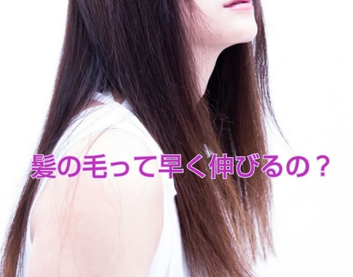 髪の毛を早く伸ばす方法 コラム Ash 横浜西口店 小俣 詩織 Ash オフィシャルサイト