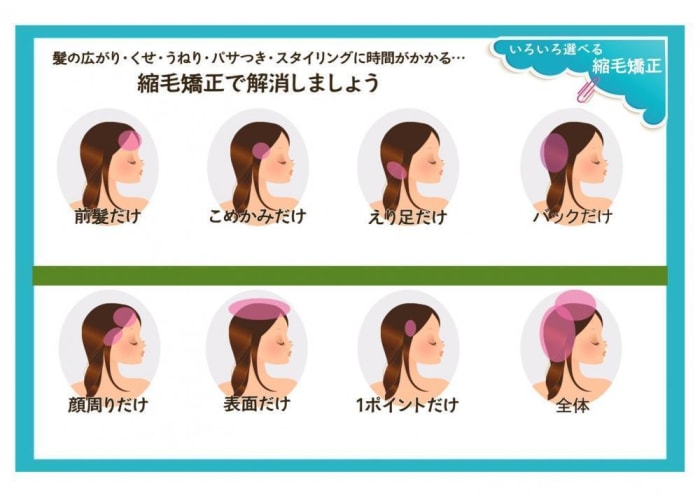 縮毛矯正をかけたい人へ 笹塚エリアの美容室とash 笹塚店の縮毛矯正の違いとは コラム Ash 笹塚店 中山 智香 Ash オフィシャルサイト