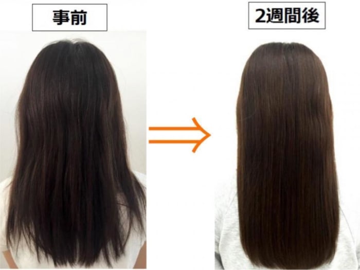 髪質やダメージでの悩みを改善して扱いやすい艶のある髪へ コラム Ash 大泉学園店 横山 直輝 Ash オフィシャルサイト 髪質やダメージでの悩みを改善して扱いやすい艶のある髪へ コラム Ash 大泉学園店 横山 直輝 Ash オフィシャルサイト