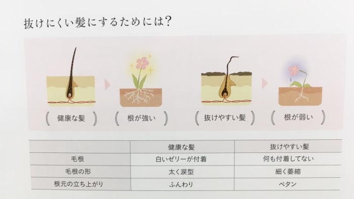 細毛 ボリュームが出にくい原因は コラム Ash 武蔵境店 久田 憲 Ash オフィシャルサイト 細毛 ボリュームが出にくい原因は コラム Ash 武蔵境店 久田 憲 Ash オフィシャルサイト