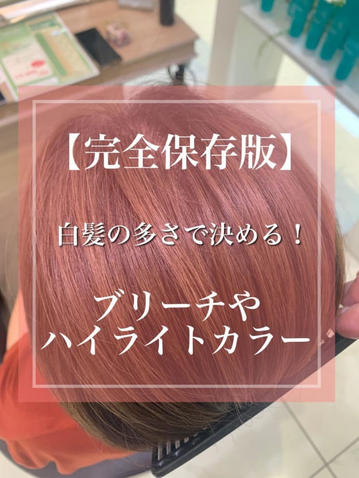 完全保存版 白髪の多さで決める ブリーチやハイライトカラー コラム Ash 戸田公園店 花木 洋斗 Ash オフィシャルサイト