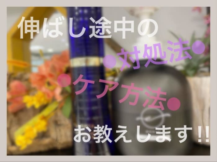 髪を伸ばしている時こそカットすべき 伸ばし途中の対処法お教えします コラム Ash 高円寺店 小野 あすか Ash オフィシャルサイト