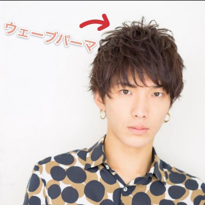 この時期だからこそパーマスタイルがおすすめ コラム Ash 中野店 関本 純一 Ash オフィシャルサイト この時期だからこそパーマスタイルがおすすめ コラム Ash 中野店 関本 純一 Ash オフィシャルサイト