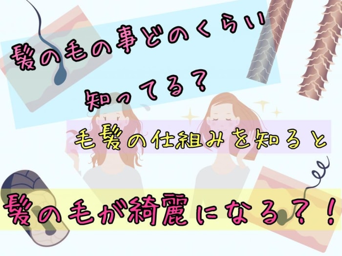 髪の毛の事どのくらい知ってる 毛髪の仕組みを知ると髪が綺麗になるかも コラム Ash 高円寺店 星野 玲奈 Ash オフィシャルサイト 髪の毛の事どのくらい知ってる 毛髪の仕組みを知ると髪が綺麗になるかも コラム Ash 高円寺店 星野 玲奈 Ash オフィシャルサイト