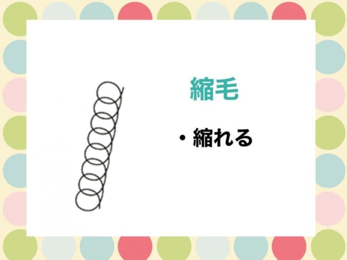 あなたのクセはどのタイプ くせ毛診断で知る自分の髪質 コラム Ash 高円寺店 小金丸 里沙 Ash オフィシャルサイト