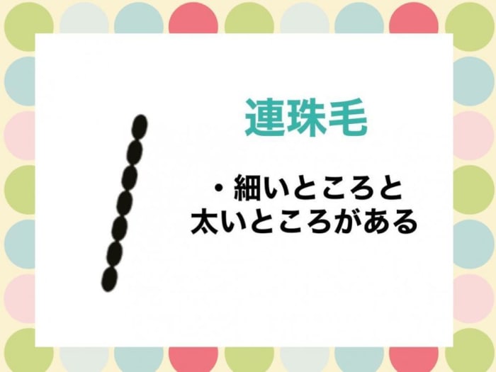 あなたのクセはどのタイプ くせ毛診断で知る自分の髪質 コラム Ash 高円寺店 小金丸 里沙 Ash オフィシャルサイト