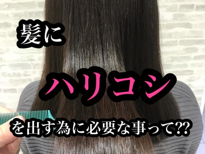 髪にハリ コシを出すために必要なことって何 年齢と共に髪のハリ コシが無くなってきた その悩みに寄り添います コラム Ash 高円寺店 鈴木 輝 Ash オフィシャルサイト 髪にハリ コシを出すために必要なことって何 年齢と共に髪のハリ コシが無くなってきた その悩みに寄り添います コラム Ash 高円寺店 鈴木 輝 Ash オフィシャルサイト