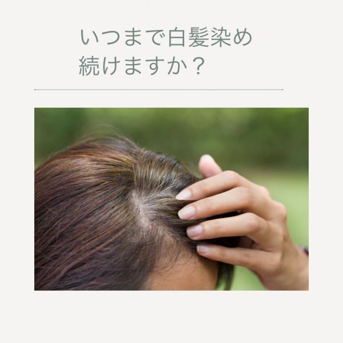 白髪染め続ける 辞める 第３の選択肢 コラム Ash 八幡山店 山本 晃司 Ash オフィシャルサイト