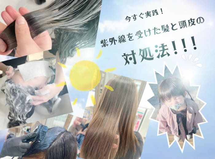 夏の紫外線で日焼けした髪と頭皮 秋に向けて これからどうする アフターケアの方法は コラム Ash 高円寺店 岡田 千英里 Ash オフィシャルサイト 夏の紫外線で日焼けした髪と頭皮 秋に向けて これからどうする アフターケアの方法は コラム Ash 高円寺店 岡田 千英里 Ash オフィシャルサイト