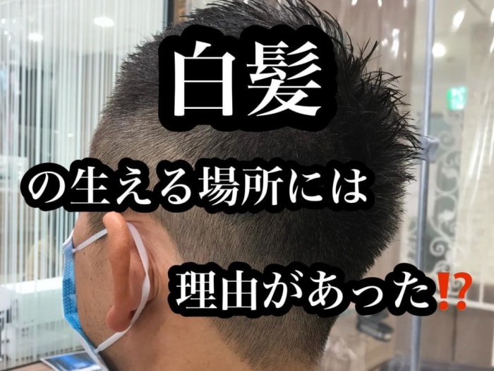 白髪の生える場所には理由があった 意外と知らない その理由を解説していきます コラム Ash 高円寺店 鈴木 輝 Ash オフィシャルサイト