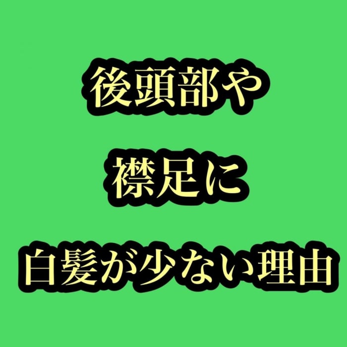 白髪の生える場所には理由があった 意外と知らない その理由を解説していきます コラム Ash 高円寺店 鈴木 輝 Ash オフィシャルサイト