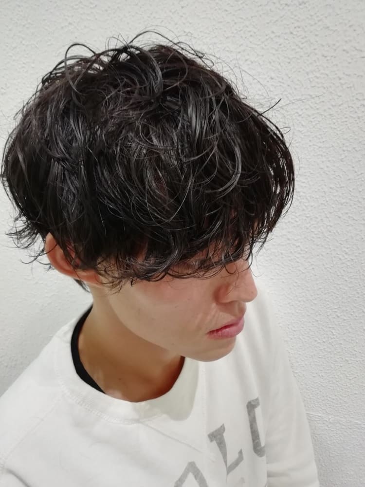 重めのマッシュパーマスタイル ヘアカタログ Ash 元住吉店 木村 和人 ヘアサロン 美容院 Ash オフィシャルサイト