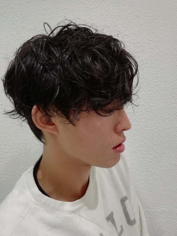 重めのマッシュパーマスタイル ヘアカタログ Ash 元住吉店 木村 和人 ヘアサロン 美容院 Ash オフィシャルサイト