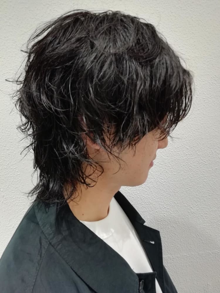 マッシュウルフレイヤー パーマ ヘアカタログ Ash 元住吉店 木村 和人 ヘアサロン 美容院 Ash オフィシャルサイト