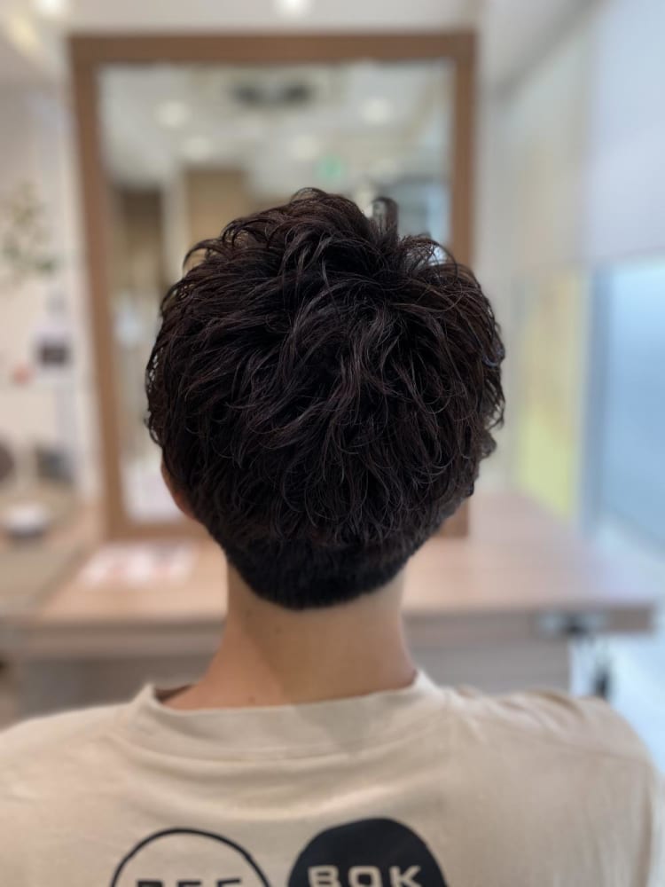 ニュアンスパーマ マッシュ ヘアカタログ Ash 永福町店 内田 祥太 ヘアサロン 美容院 Ash オフィシャルサイト