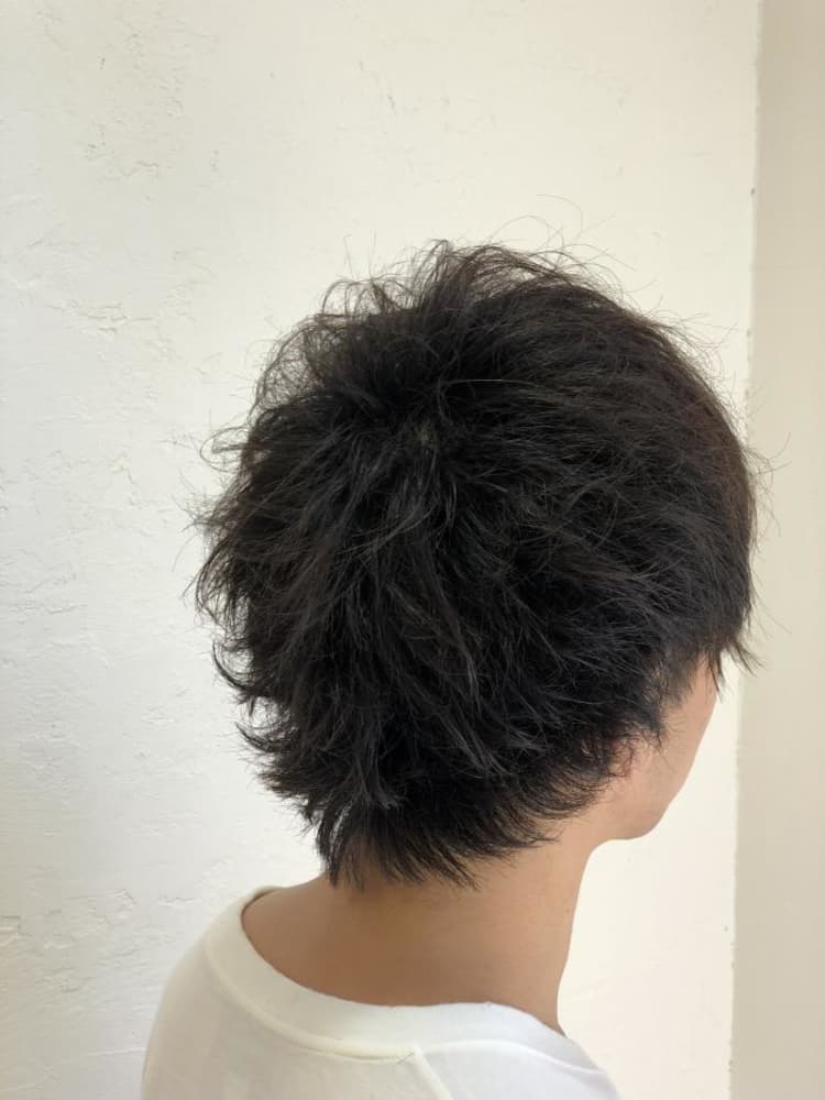 ツーブロウルフ ヘアカタログ Ash 中山店 堀口 翼 ヘアサロン 美容院 Ash オフィシャルサイト