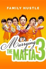 Marrying The Mafia 3: Family Hustle - 2006