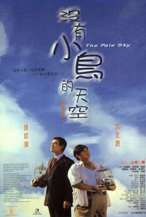 The Pale Sky film poster