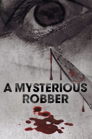 A Mysterious Robber film poster