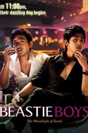 Beastie Boys film poster