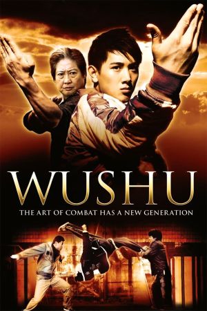 Wushu film poster