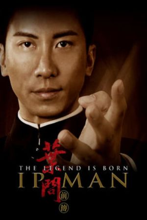 The Legend Is Born: Ip Man film poster