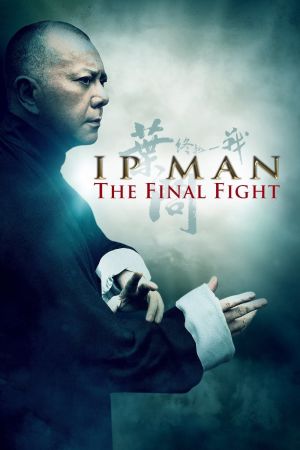 Ip Man: The Final Fight film poster