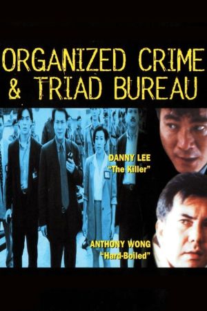 Organized Crime & Triad Bureau film poster