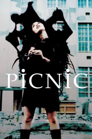 Picnic film poster