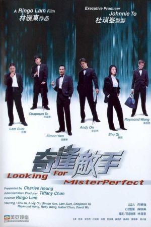 Looking for Mr. Perfect film poster