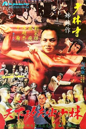 Fury in the Shaolin Temple film poster