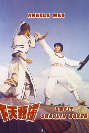 Swift Shaolin Boxer film poster