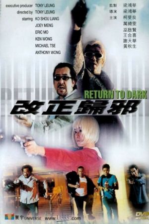 Return to Dark film poster