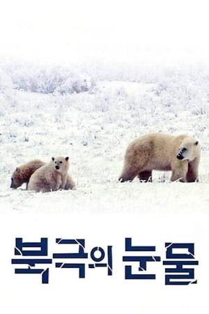 Tears in the Arctic film poster