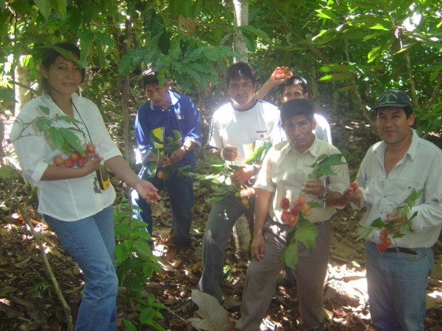 Fundraising Creativo para ONGs