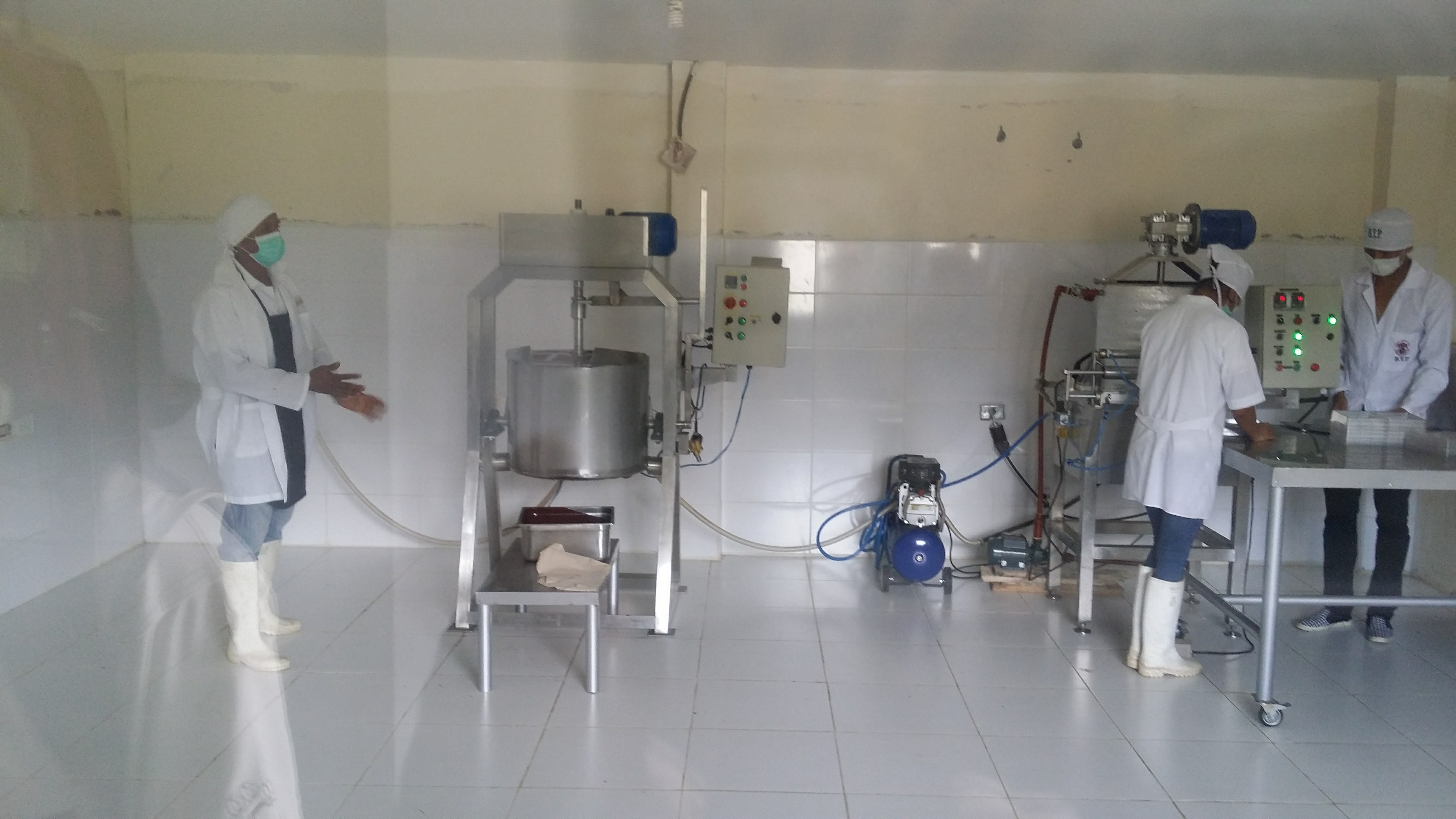 Taller : Elaboración de Yogurt y Bebidas Lácteas Saborizadas