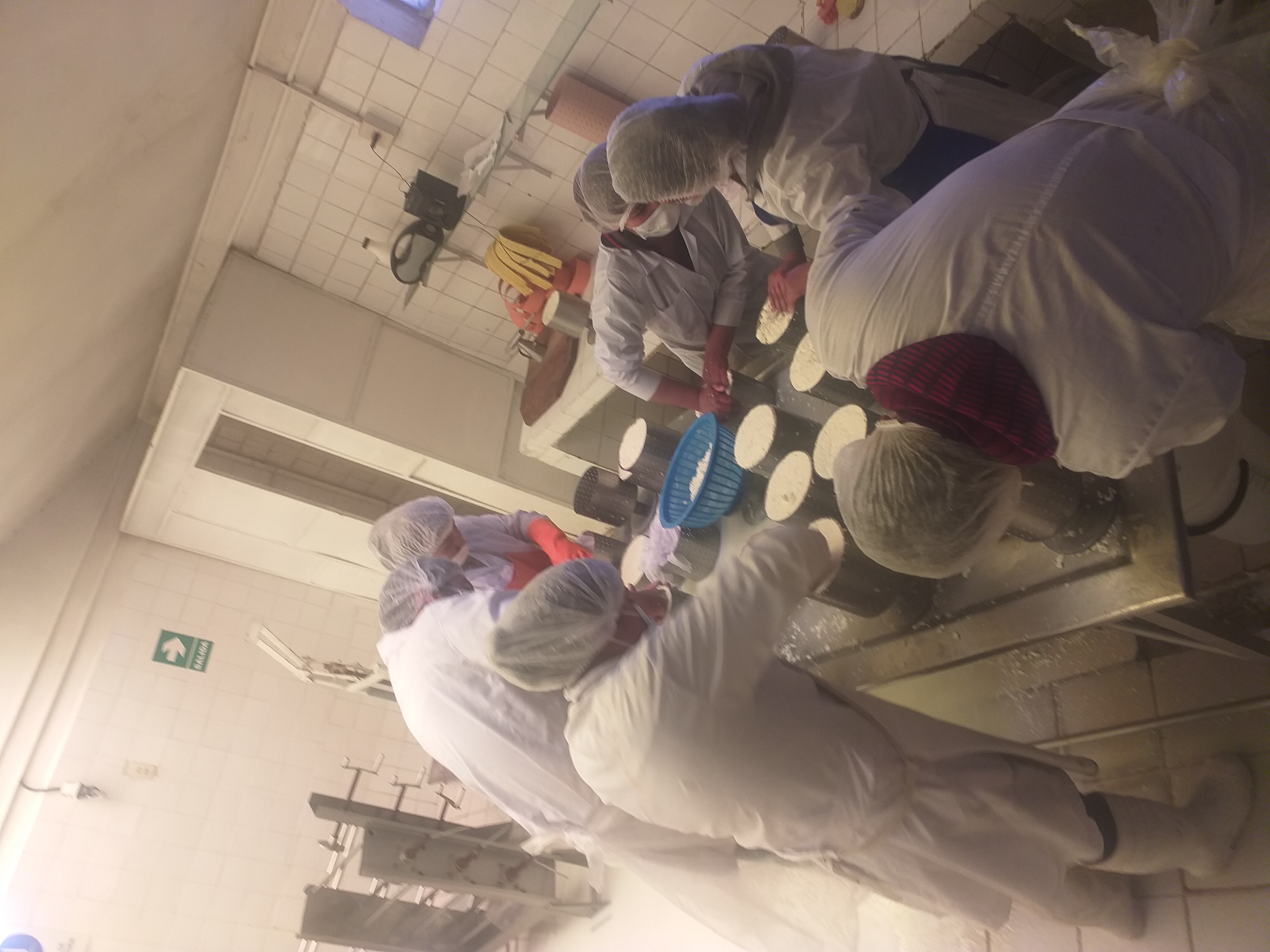 Taller : Elaboración de Yogurt y Bebidas Lácteas Saborizadas