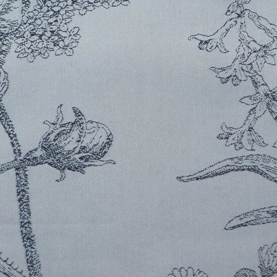 Hedgehog