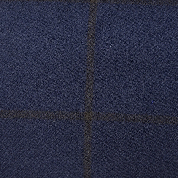 Blue and Brown Windowpane